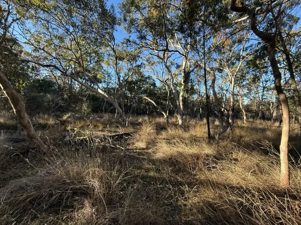 Glen Aplin Your own Private natural bushland only minutes South of Stanthorpe