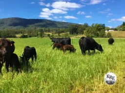 Lot 48 Back Creek Road, Kyogle