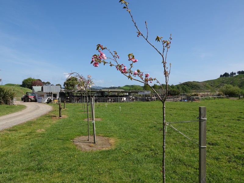 294 Tirohanga Road, Opotiki Coastal, Opotiki, 0 Bedrooms, 0 Bathrooms, Dairy