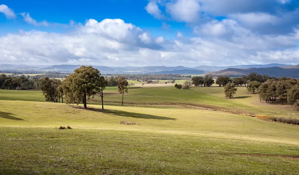 57 Police Track, Lima, VIC 3673