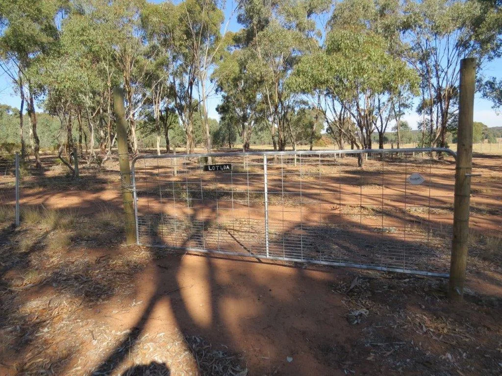 Wedderburn  3 ACRE CAMPING BLOCK