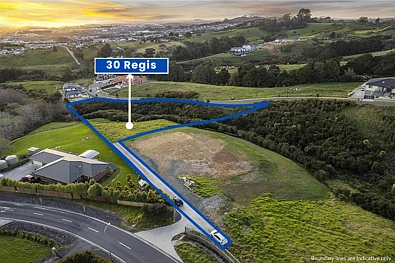 30 Regis Lane, Flat Bush, Manukau City, 0 Bedrooms, 0 Bathrooms, Section