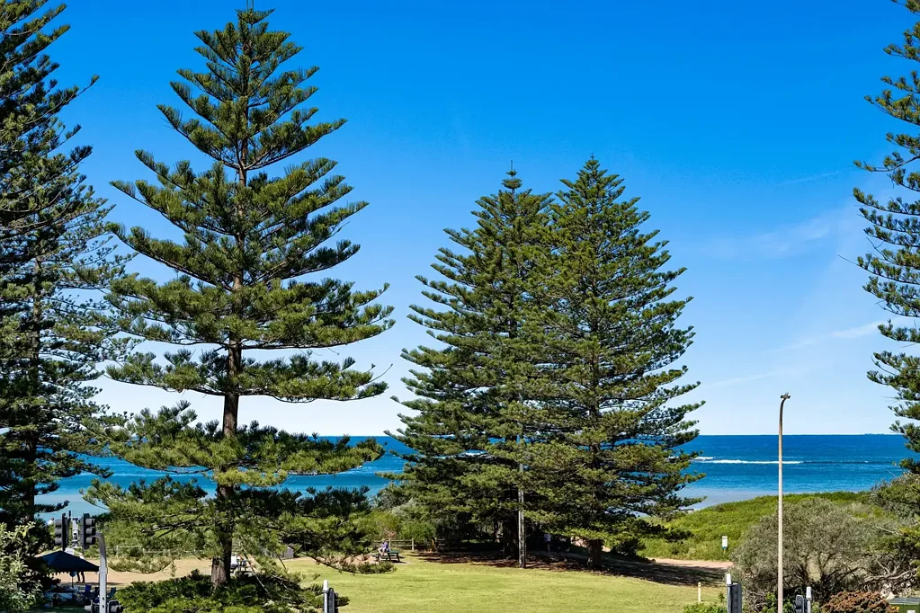 Oversized Two Bedroom Apartment with Ocean Views