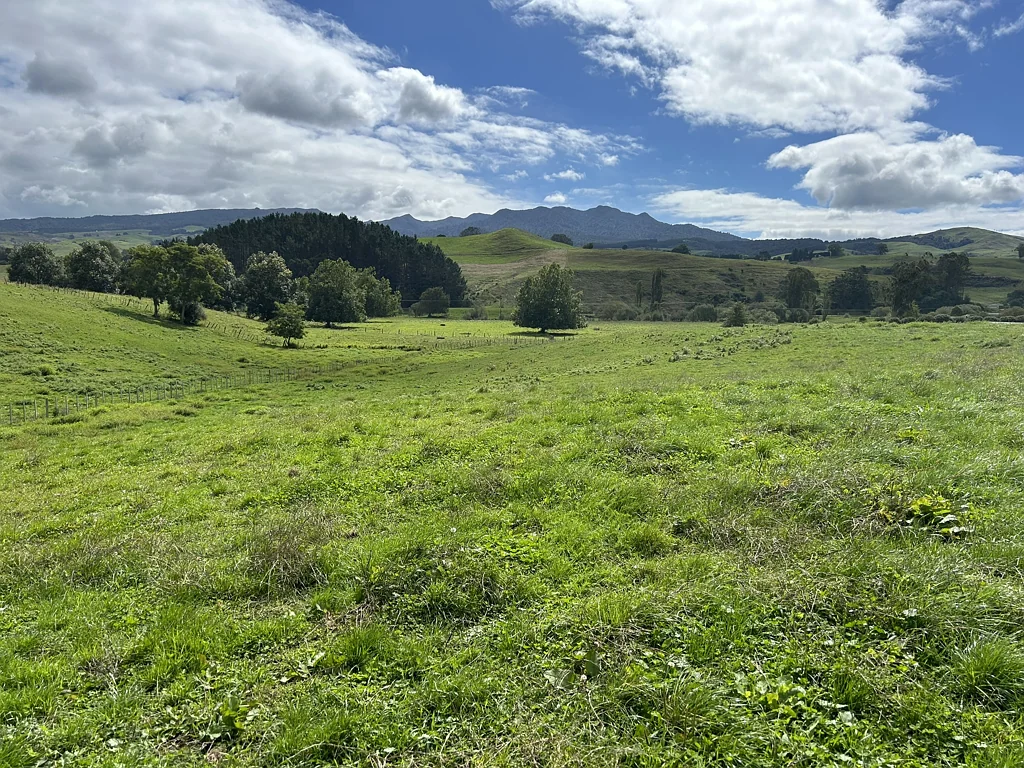 Pirongia  Large lifestyle Section