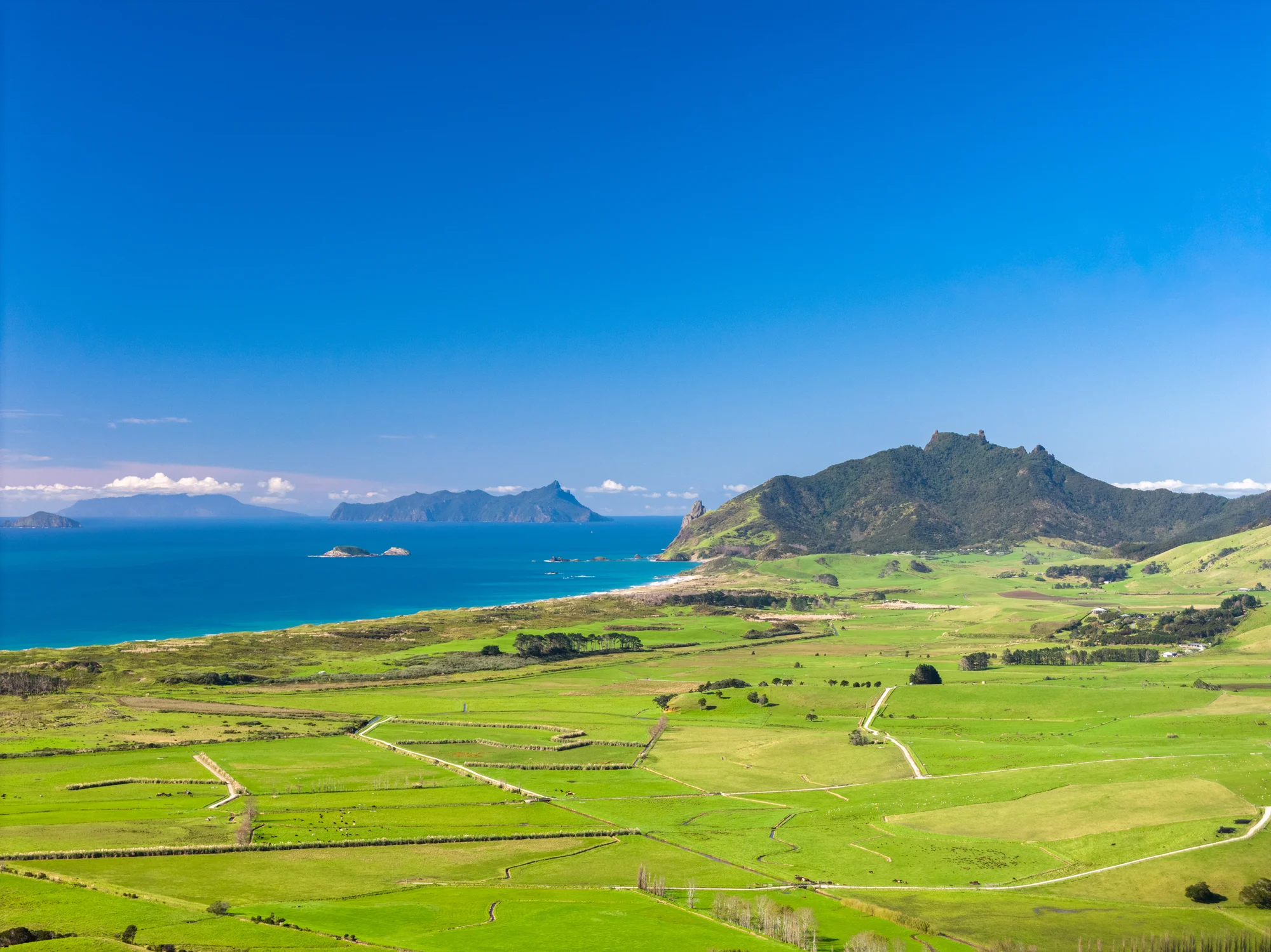 Parua Bay The Height of Coastal Prestige
