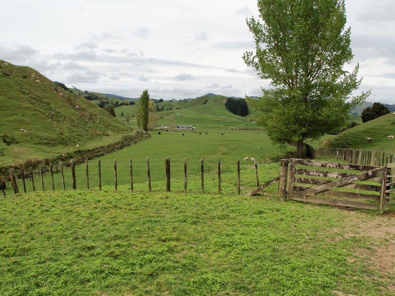 450 Ramaroa Road, Aria, Waitomo, 3 રૂમ, 0 બાથરૂમ