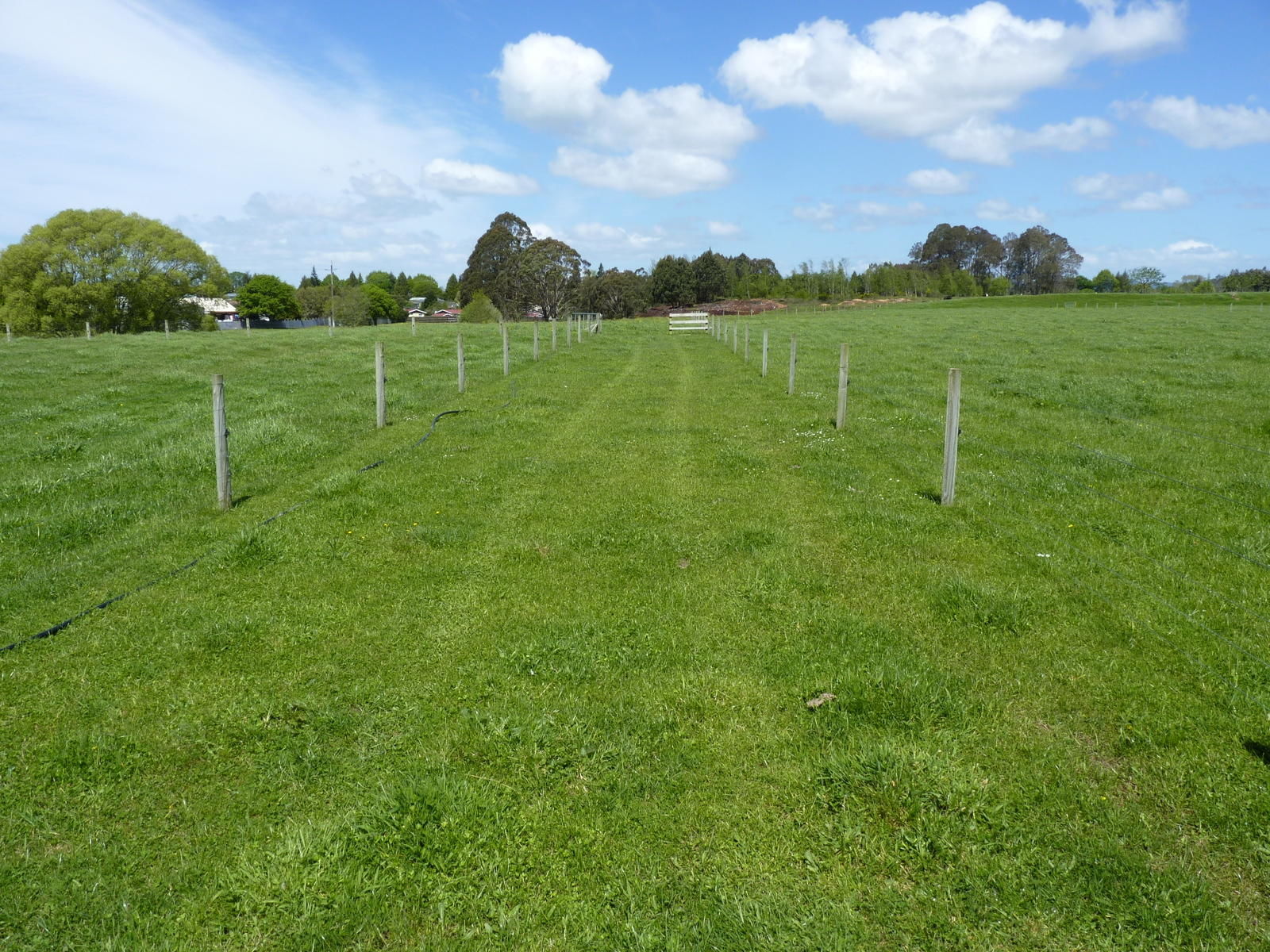 7b Princess Beatrix Avenue, Tokoroa, South Waikato, 2部屋, 1バスルーム, Specialist Livestock