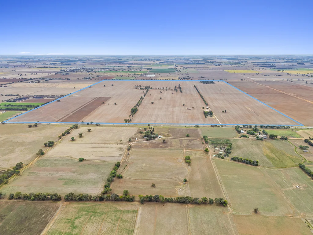 Finley 1000 acres close to towship of Finley