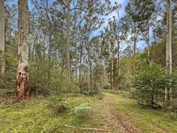 Lot 182 Stockyard Creek Road, Paynes Crossing