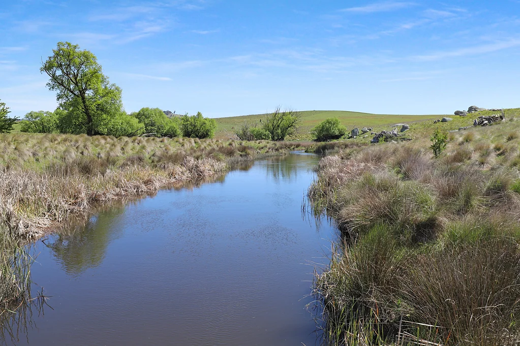 Lot 206 Delegate Road, Delegate, NSW 2633