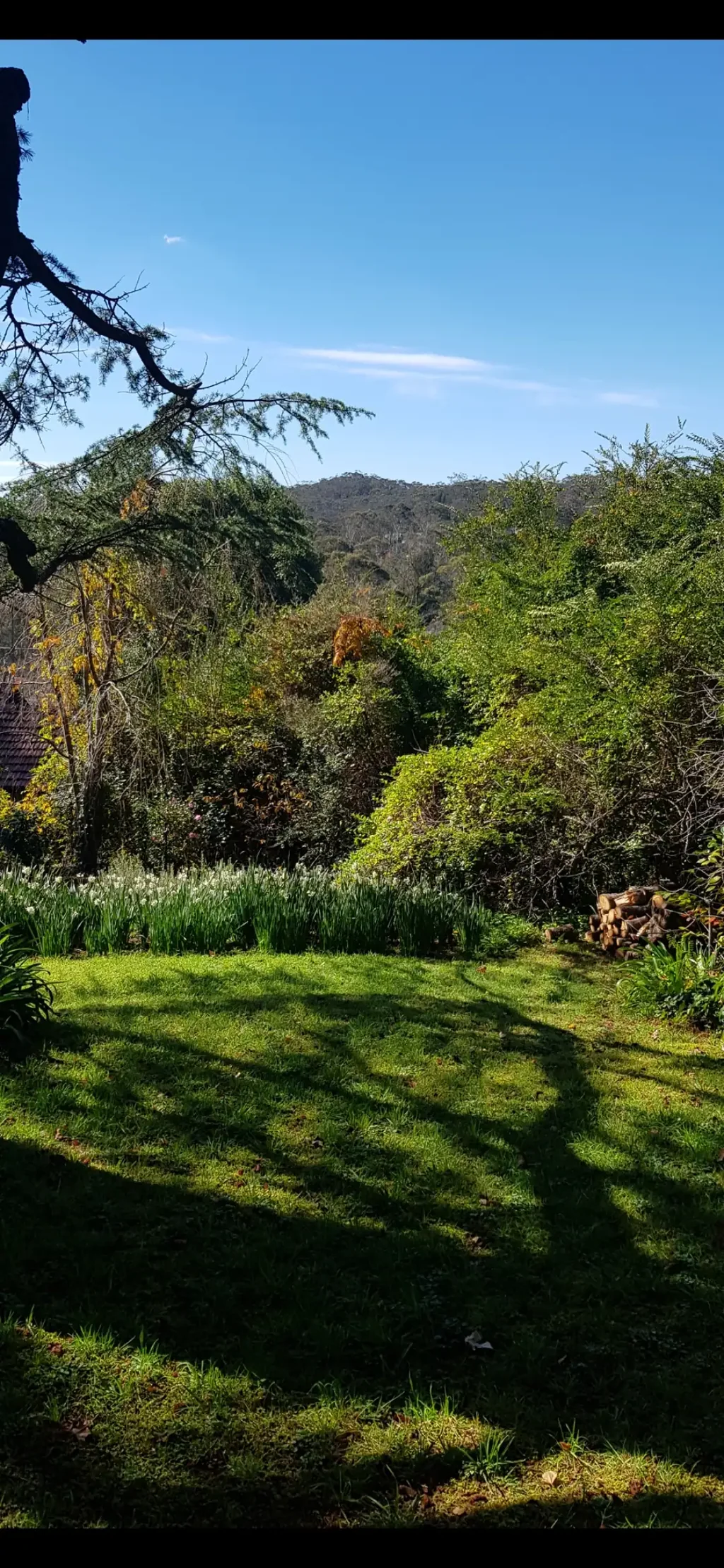 15 Norwood Street, Leura, NSW 2780
