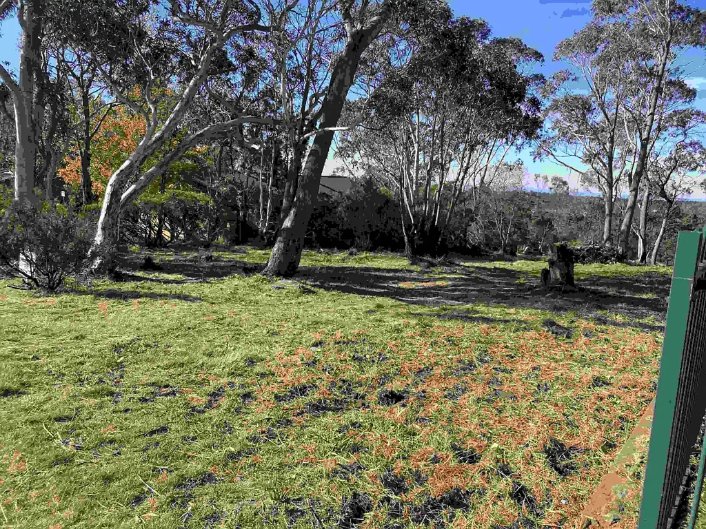 Katoomba Vacant 919SQM Block of Land. 20 metre frontage