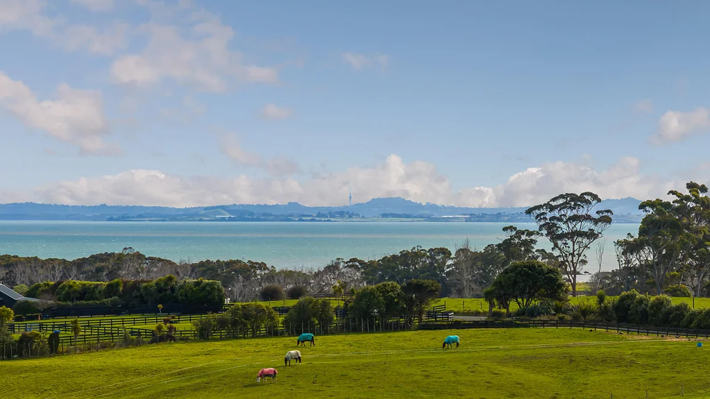 Waiau Pa Large lifestyle sections - choose your view