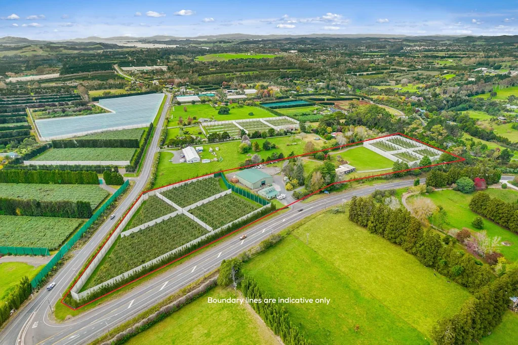 Kerikeri Tenanted By Manuka Health + Kiwifruit Orchard
