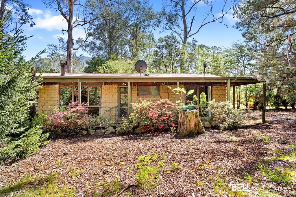 15 Rainbow Trout Avenue, East Warburton, VIC 3799
