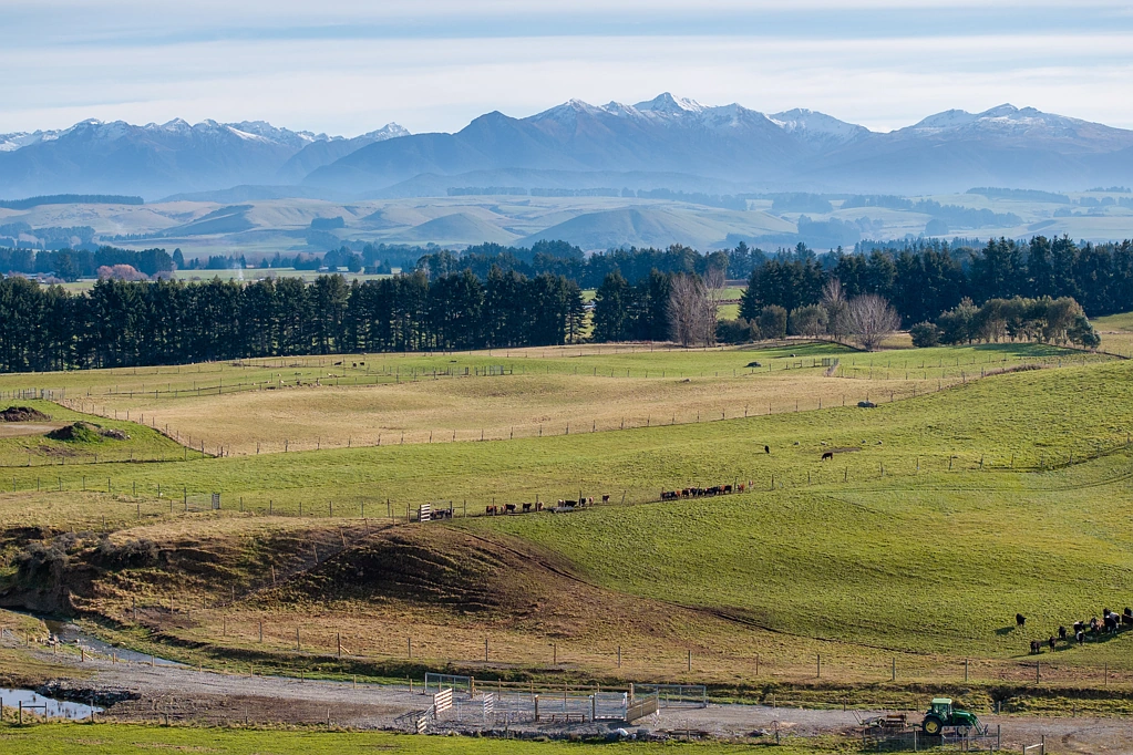 Manapouri Diverse Grazing Block