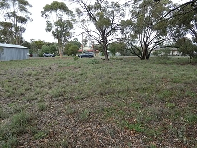 4 Swann St, Brim, VIC 3391, 0 slaapkamers, 0 badkamers, Section