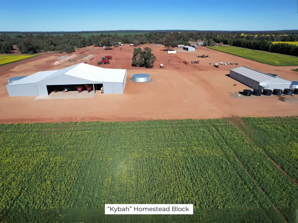 Trundle  "Kybah" Aggregation: Supreme turn-key cropping opportunity.