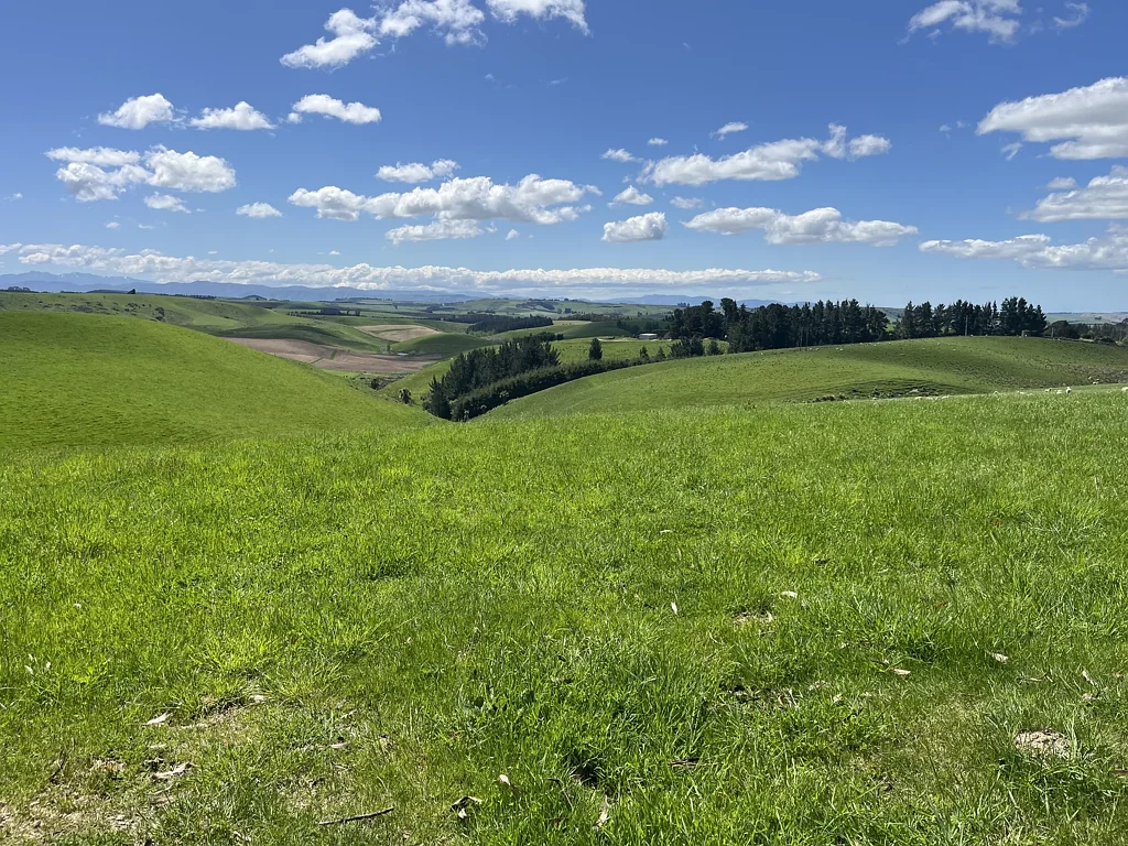 Five Forks and Surrounds Peace & Quiet - Two x 4ha Lifestyle Blocks