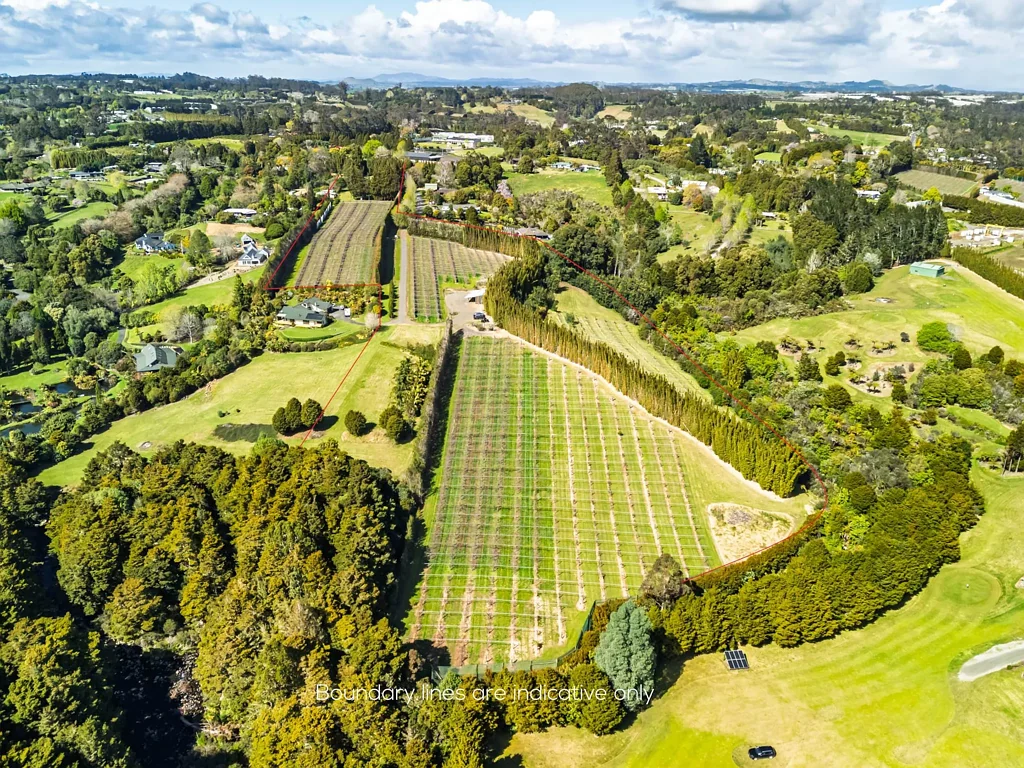 Kerikeri 6.99ha Kiwifruit Orchard + Development