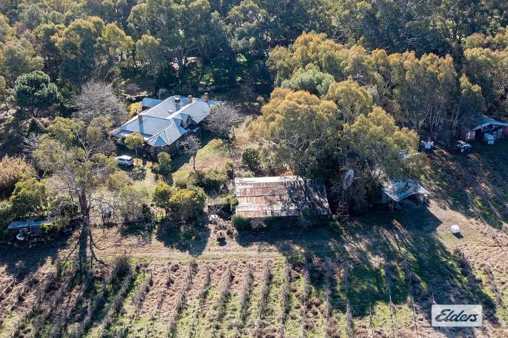 37 Withers Road, Lilliput, VIC 3682