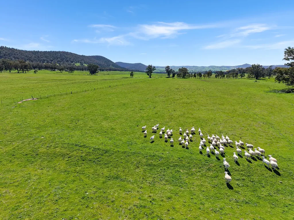 Murga 1,165 ACRE MIXED GRAZING & FARMING OPERATION