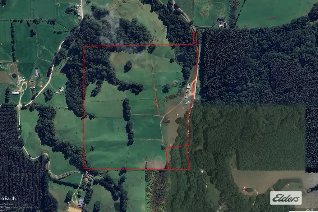 184 Youngs Road, Irishtown, TAS 7330