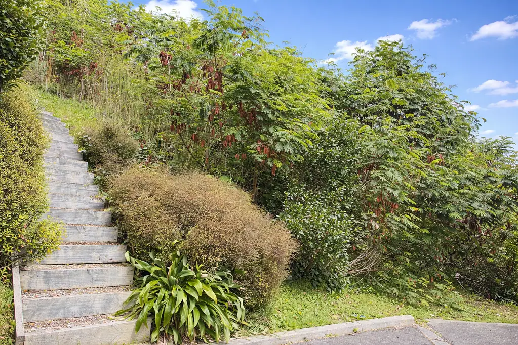 Seatoun Last Remaining Section - 85 Seatoun Heights Road