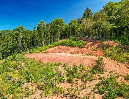 Lot 11 Whitehead Road, Lower Cowley, Cairns, 0 Bedrooms, 0 Bathrooms, Lifestyle Property