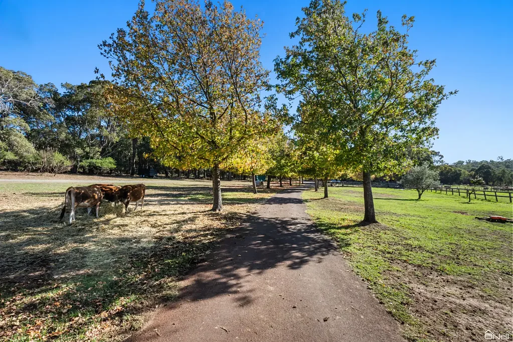 Bedfordale 4 Bedroom AN INCREDIBLE RURAL LIVING  OPPORTUNITY