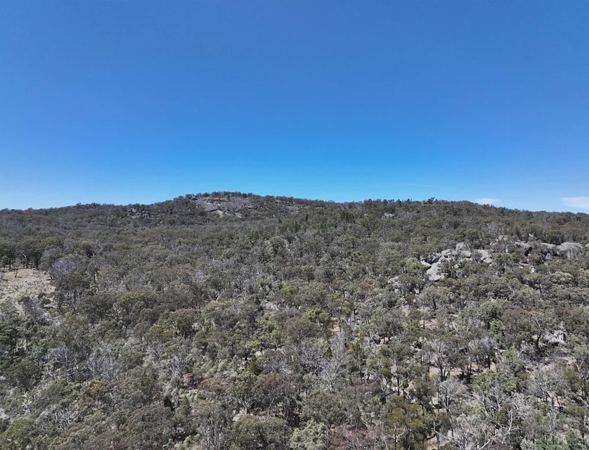 Lot 1 Brusharbers Road, Tenterfield, Tamworth, 0 phòng ngủ, 0 phòng tắm, Lifestyle Property