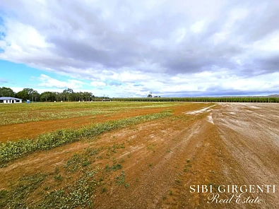 LOT 6 Tilse Street, Mareeba, QLD 4880, 0 slaapkamers, 0 badkamers, Section