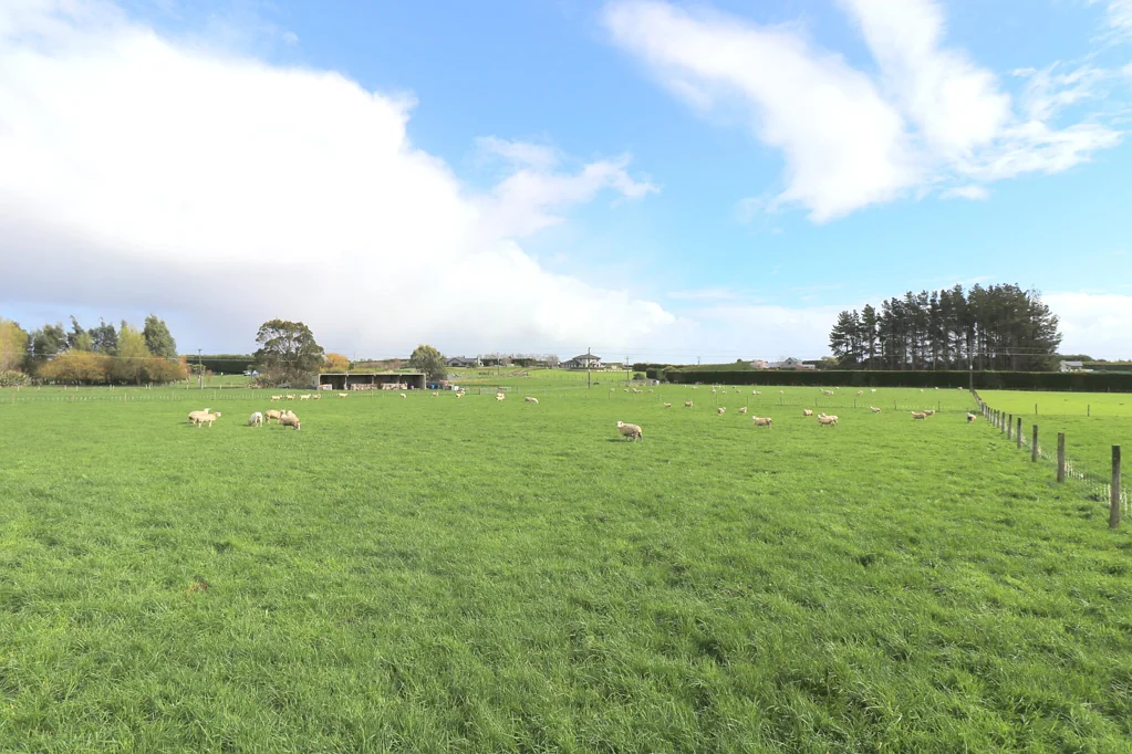 Myross Bush A Rare Slice of Waihopai Paradise!