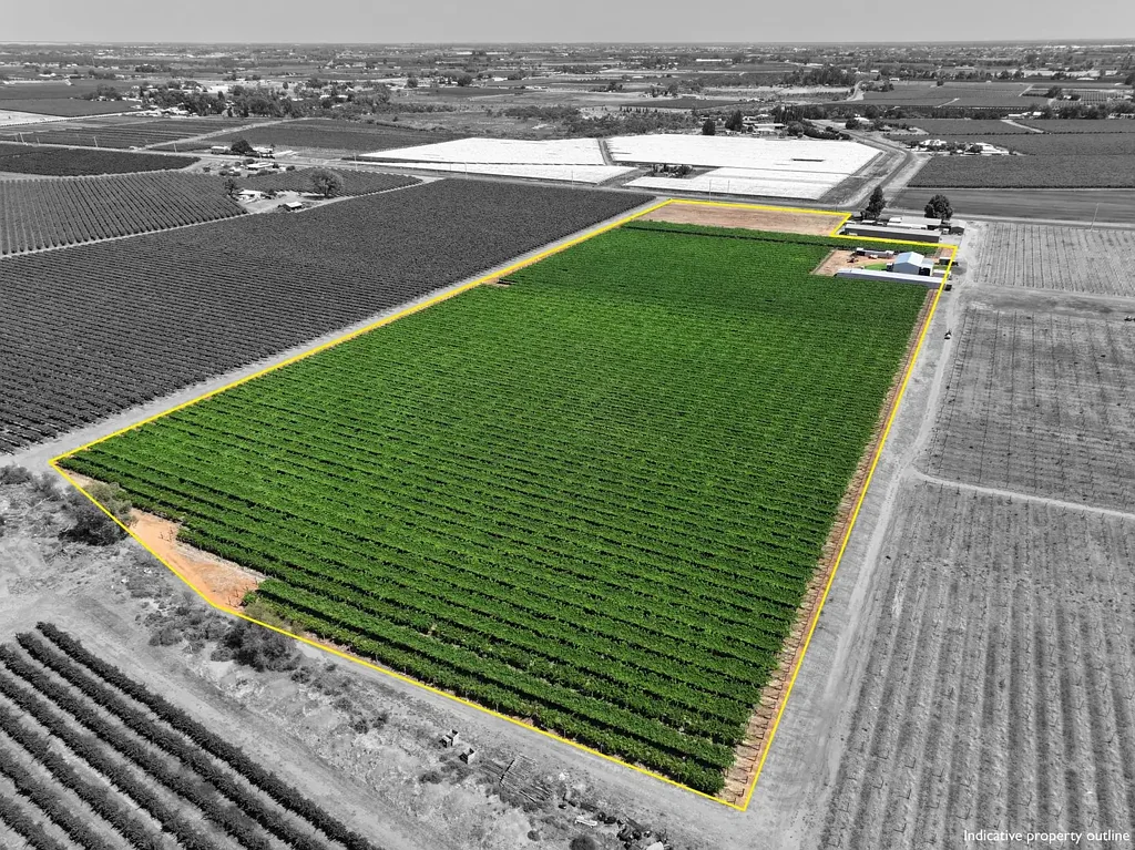 Cardross UNIQUE DRIED FRUIT PROPERY