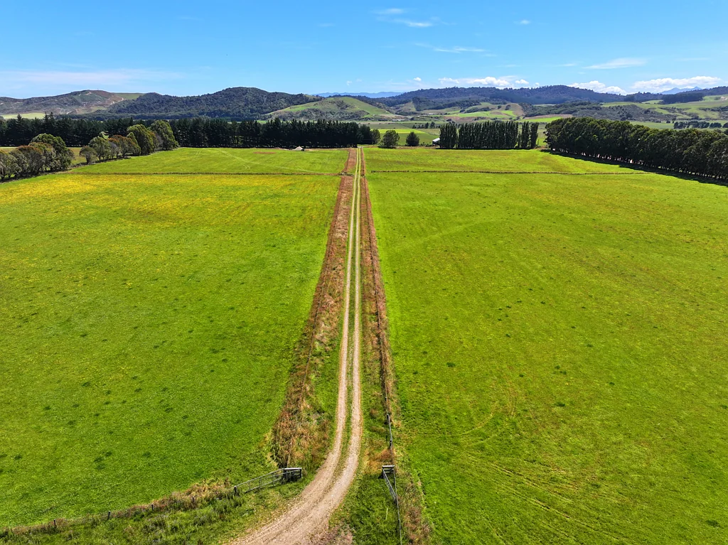 Tuatapere Supplement or Fattening Block with Dairy Grazing