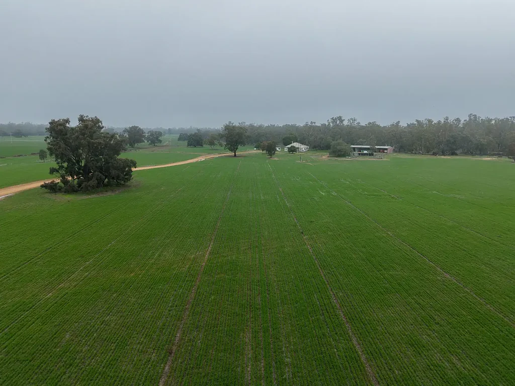 Deniliquin Cropping Opportunity with Secure Water Access