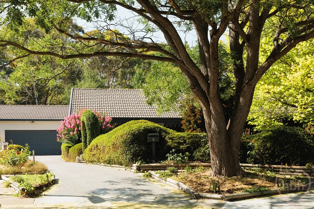 6 Cade Place, Melba, ACT 2615