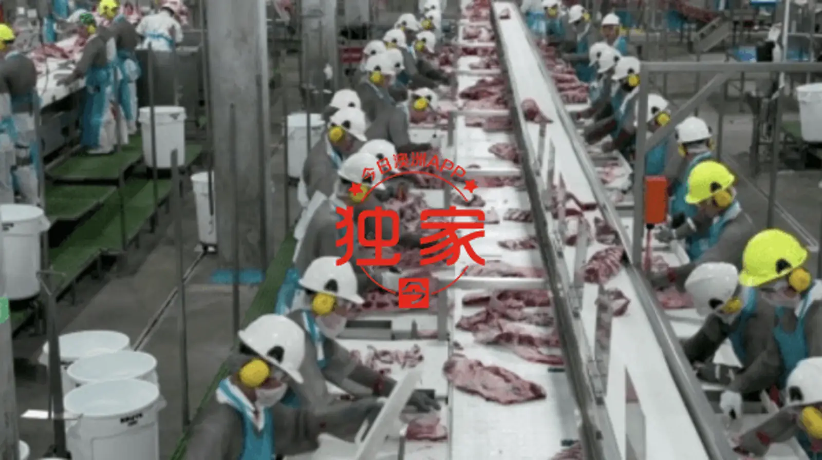 因上班戴口罩，澳肉厂华裔女工自曝被逼辞职！“要么摘掉，要么回家”（组图）