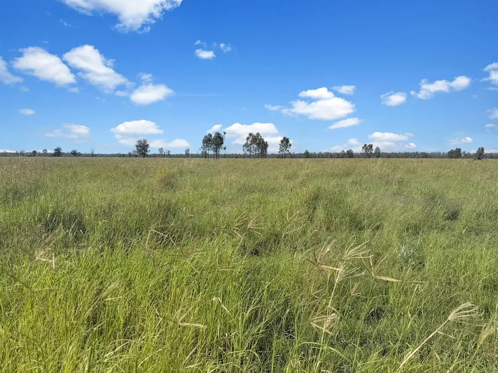 " Four Bar", Dalby, QLD 4405