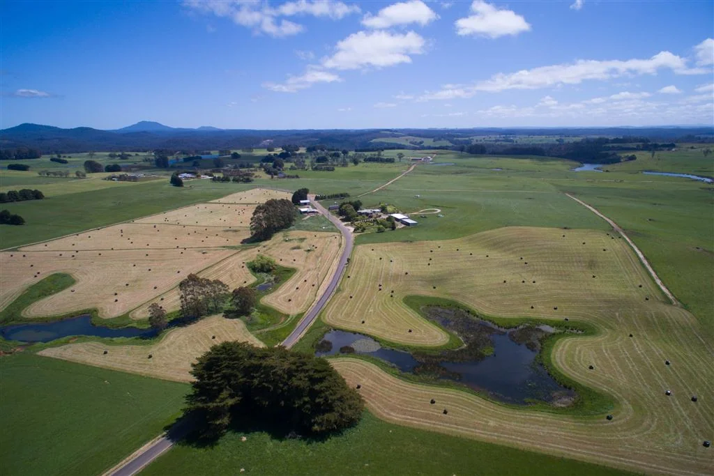 South Riana Productive Riana Dairy Farm