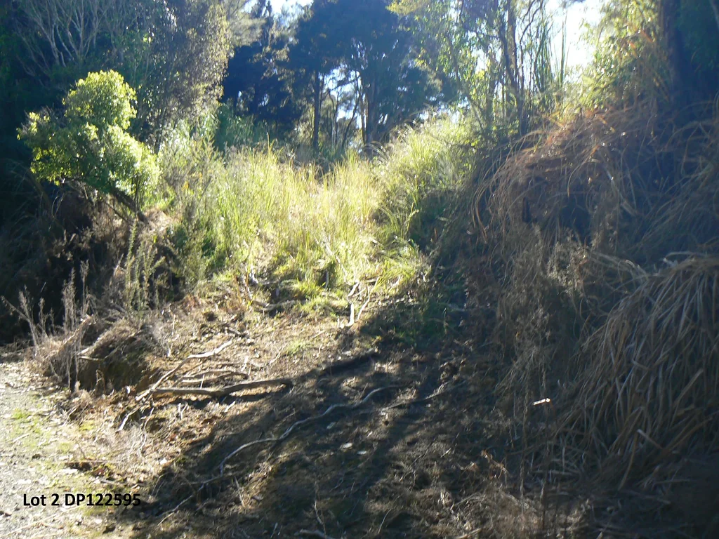 Kaikohe Hokianga Bush Lifestyle Blocks