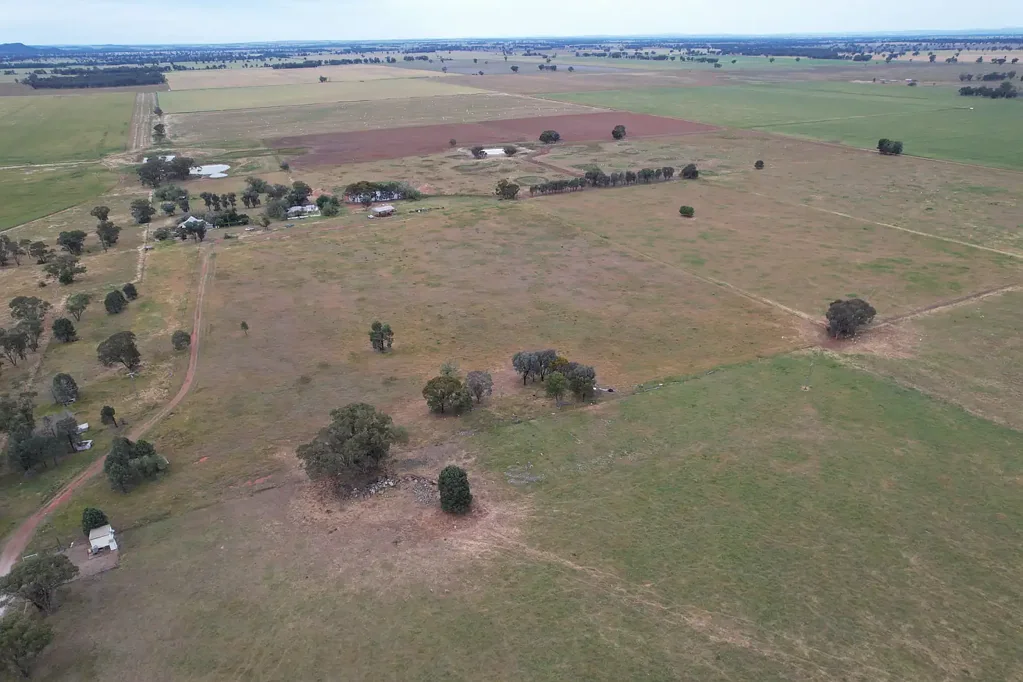 Forbes "Sunny Vale", 120 Pouts Rd, offers a great opportunity to secure your own 120 acre lifestyle property under 20km's from Forbes.