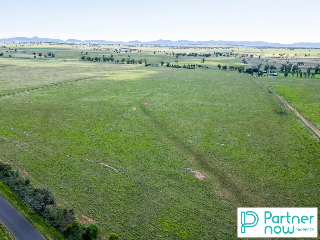 Tamworth  "HAZELDENE" Farming and Fattening Country - 365 Acres