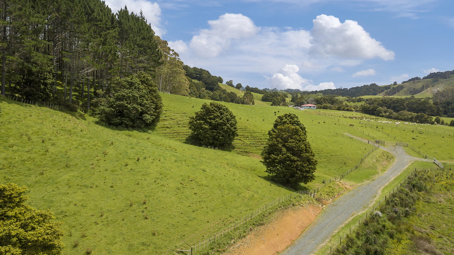 750 Whangaripo Valley Road, Whangaripo, Auckland - Rodney, 0 રૂમ, 0 બાથરૂમ