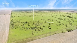 'Eumerella' Lot 87 Eumerella Road, Thallon