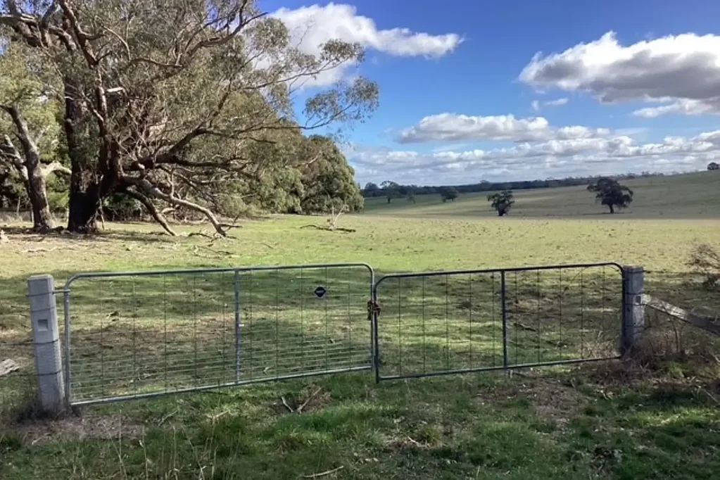Clarendon  54.35Ha (134.3Ac); Fenced pasture and bush: Derelict House