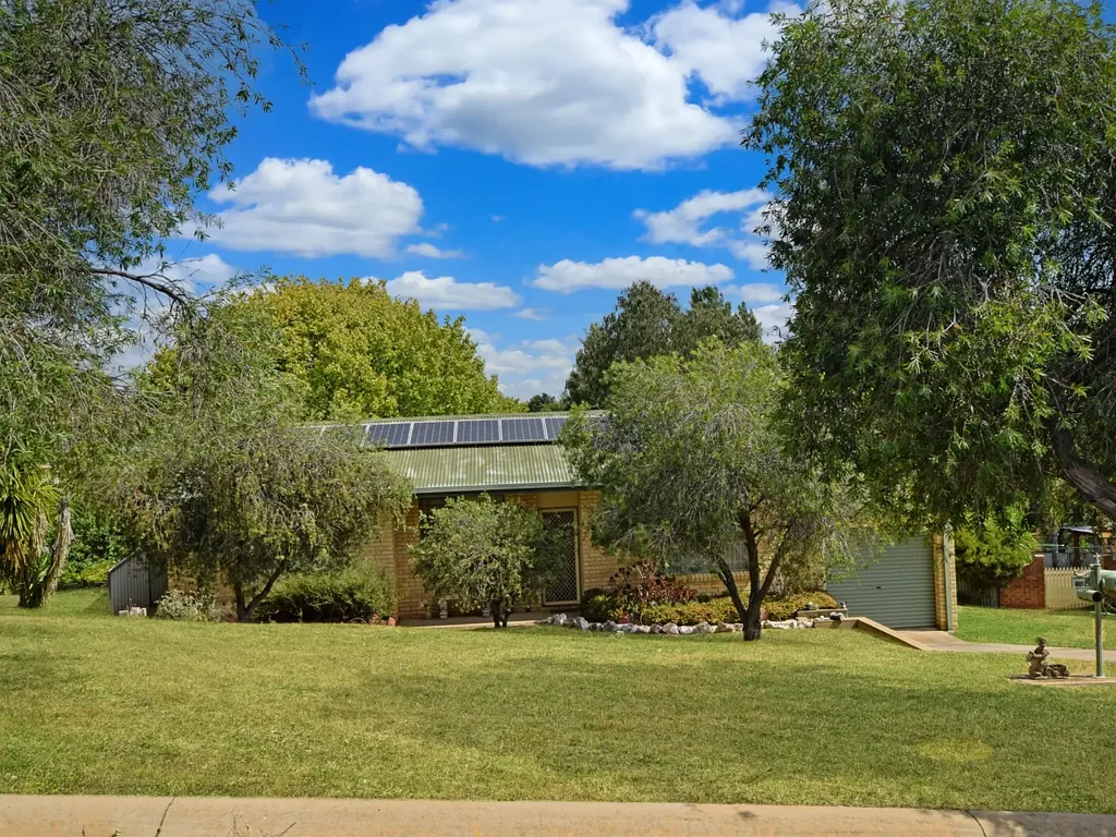 8 Tadros Avenue, Young, NSW 2594