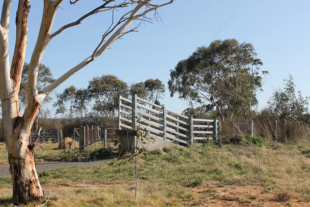 Braidwood Jembaicumbene Creek
