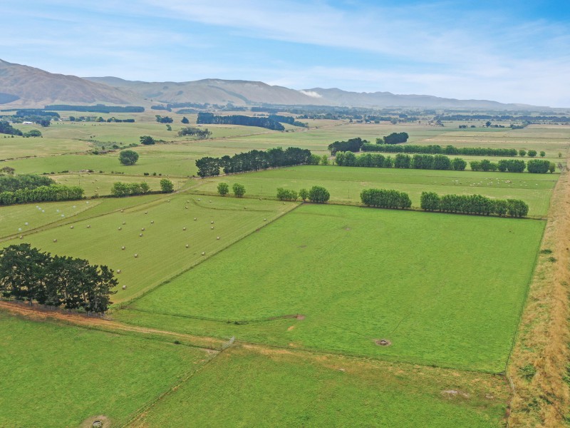 142 Linton Drain Road, Linton, Palmerston North, 0 ਕਮਰੇ, 0 ਬਾਥਰੂਮ