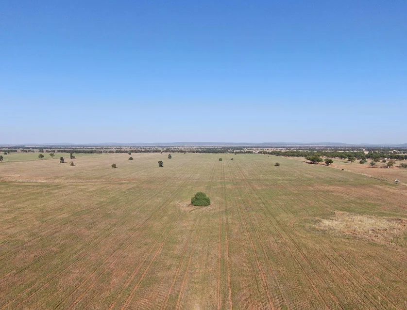 'Brigadoon' 916 Talleeban Road, Weethalle, Riverina, 4 rūma, 1 rūma horoi, Lifestyle Property